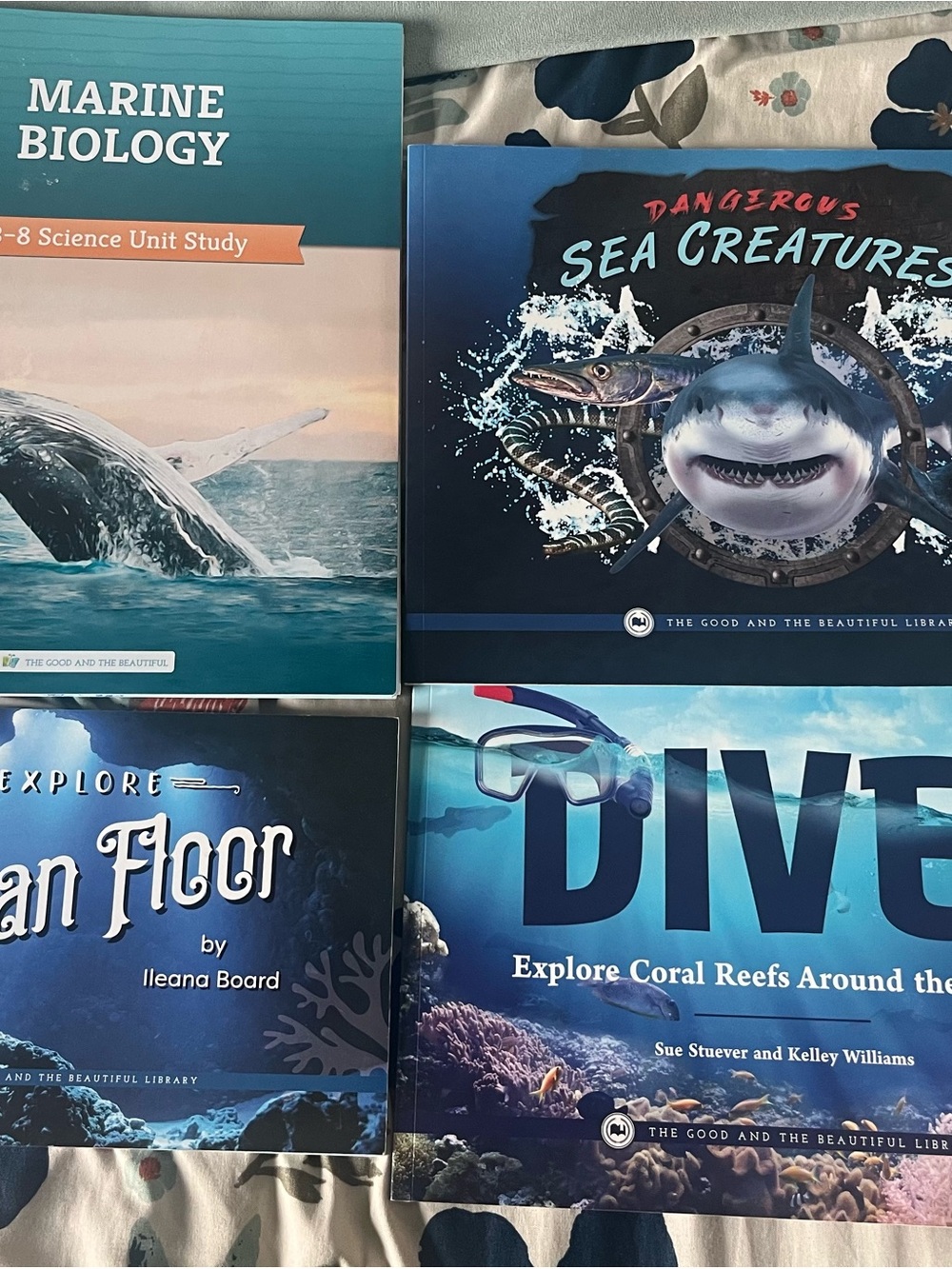 The Good and the Beautiful marine biology curriculum USED in great condition